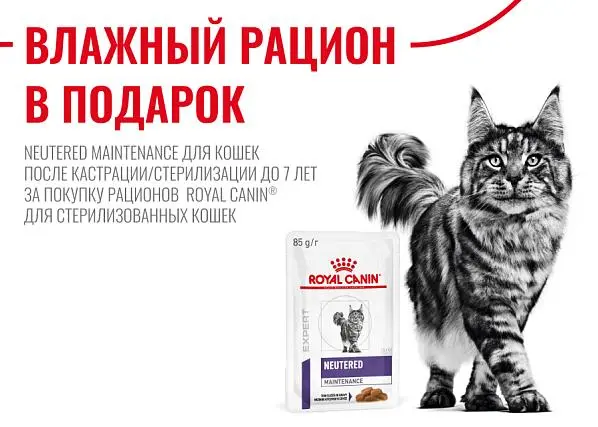 В подарок влажный рацион Neutered Maintenance за покупку Royal Canin Sterilised	